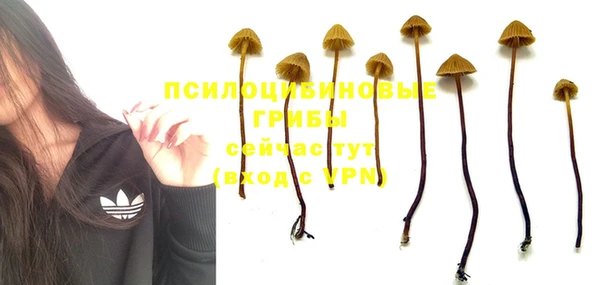 прущая мука Балабаново